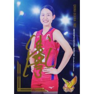 SP16【水杉玲奈】2022 火の鳥NIPPON 全日本女子バレーボール