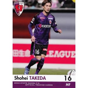 19 【金子大毅】[クラブ発行]2022 京都サンガFC オフィシャルカード