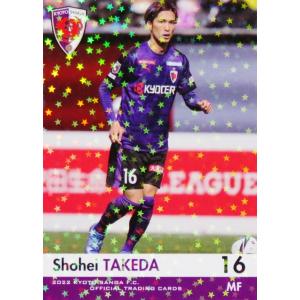 遊戯王オフィシャルカードゲーム デュエルモンスターズ 遊戯王カード