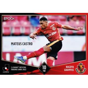 2013Jカード2nd レギュラー 314 岩政大樹 (鹿島アントラーズ