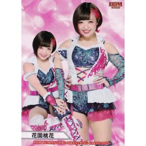 渡辺未詩】BBM 女子プロレスカード 2025 [直筆サイン入りチェキ] 10枚