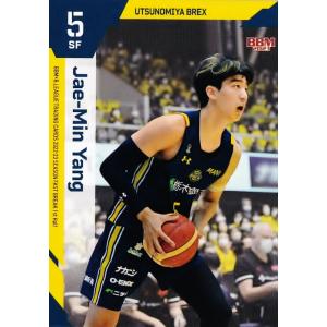 阿部詩/柔道】BBM 2025 INFINITY インフィニティ [直筆サインカード