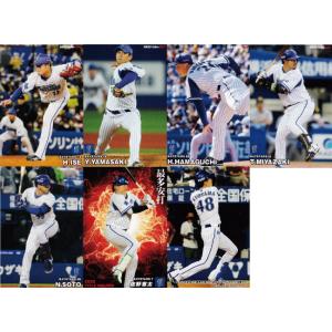 チーム本塁打王カード(通常版)/全12種】カルビー 2026 プロ野球