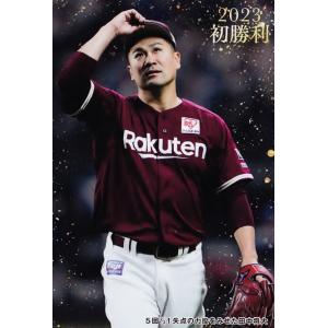 FP17 【木村沙織/バレーボール元日本代表】2024BBMベースボール