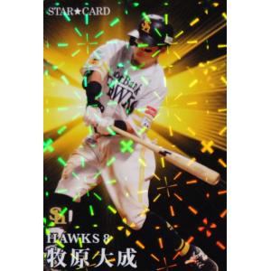 カルビー　プロ野球　がんばれ 中日ドラゴンズ チップス カルビー プロ野球 がんばれ 中日ドラゴンズ チップス 中日ドラゴンズ