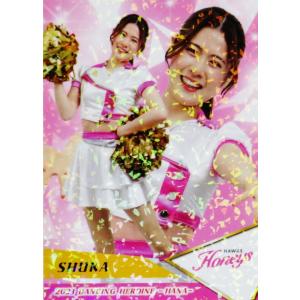 84 【HARU (中日/チアドラゴンズ2023)】BBM プロ野球チアリーダー