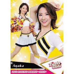 V19 【山本まなみ (巨人/VENUS)】BBM プロ野球チアリーダーカード2024