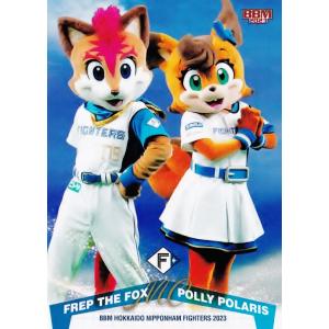 BBM2019 北海道日本ハムファイターズ レギュラーカード No.F71