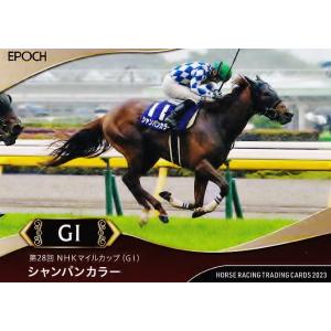 【レア！】ホースレーシングトレーディングカード2024 レガレイラ レア！】ホースレーシングトレーディングカード2024 レガレイラ レア