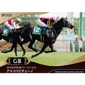 ソウルラッシュ デムーロ　世界限定 ホースレーシングカード 競馬　専用台座付　馬 107 【ソウルラッシュ】エポック ホースレーシングカード 2024