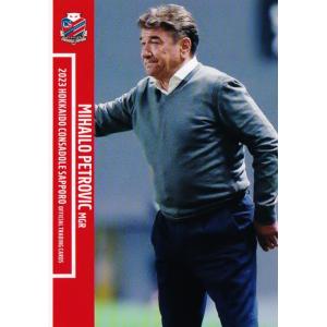 新品未使用 北海道コンサドーレ札幌 ゲームパンツ田中駿汰 32 北海道