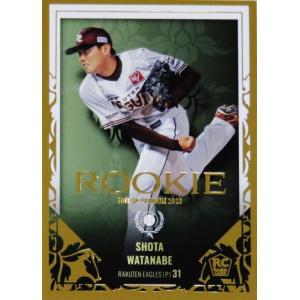 27 【井坪陽生/阪神タイガース】BBM2023 ルーキーエディション