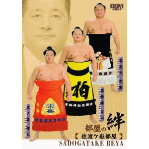 2014Panini Prizm FIFA World Cup Soccer レギュラー 201 Yoichiro