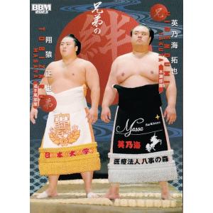 プラチナボックス 星名美津紀ファースト トレーディングカード