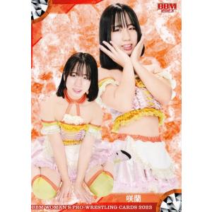 ダンボ - 世界の七不思議(エンチャンテッド)(228/204) ディズニー