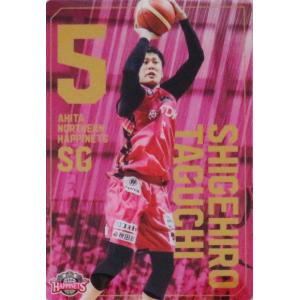 フルコンプリートセット/全56種】バンダイ 2024 B.LEAGUE ツイン フルコンプリートセット/全56種】バンダイ 2024 B.LEAGUE ツイン