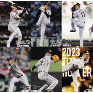 北海道日本ハムファイターズ】カルビー 2024 プロ野球チップス第1弾