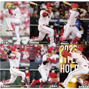 カルビー2023　第１弾　通販限定１２種含む　全１２６種セット　プロ野球カード チーム盗塁王カードコンプリートセット/全12種】カルビー 2023