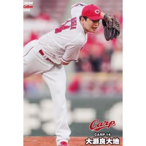 PL05 【清水昇/東京ヤクルトスワローズ】カルビー 2024 プロ野球 PL05 【清水昇/東京ヤクルトスワローズ】カルビー 2024 プロ野球