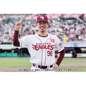C10 【今江敏晃/東北楽天ゴールデンイーグルス】カルビー 2024 プロ野球チップス 第2弾 レギ...