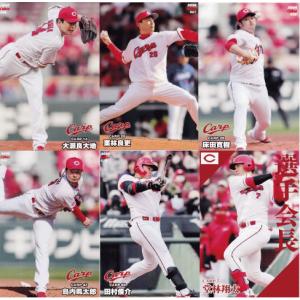 東京ヤクルトスワローズ】カルビー 2024 プロ野球チップス第2弾