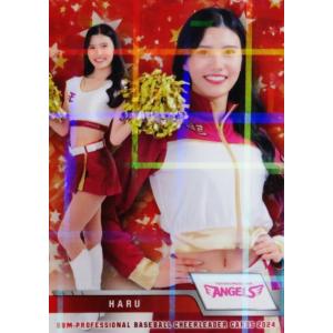 71 【菊池桃子 (巨人/VENUS)】BBM プロ野球チアリーダーカード2023 -華