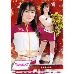 山本まなみ　ジャイアンツヴィーナス　直筆サイン入りブロマイド 山本まなみ ジャイアンツヴィーナス 直筆サイン入りブロマイド