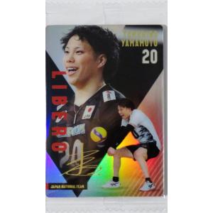 30 【山本智大】バンダイ 2025 JAPAN NATIONAL VOLLEYBALL TEAM ...