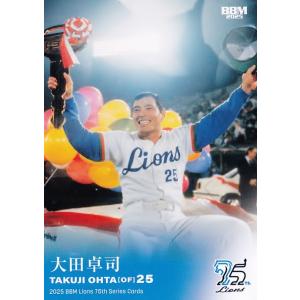高橋光成 渡辺久信 ライオンズ70周年タペストリー （非売品）　2枚セット 高橋光成 渡辺久信 ライオンズ70周年タペストリー （非売品） 2枚セット