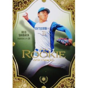 211 【柴田獅子(ROOKIE)/北海道日本ハムファイターズ】2025 BBM ベース