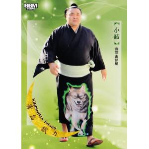 77 【照ノ富士 春雄/初土俵】BBM2025 大相撲カード「和」レギュラー