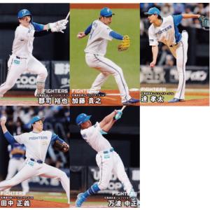 中日ドラゴンズ】カルビー 2025 プロ野球チップス第1弾 [チーム別