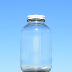 保存瓶 M2400瓶 12本入 2.4kg 蜂蜜瓶の詳細画像2