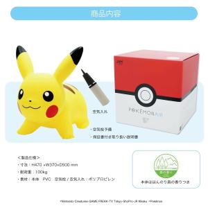 【公認店】【ポケモンエアー正規品】お誕生日ギフ...の詳細画像1