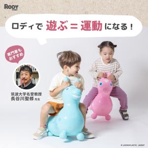 【公式】 『専門家推薦』体幹・バランス感覚を育...の詳細画像3