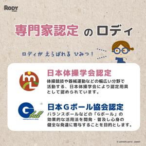 【公式】 『専門家推薦』体幹・バランス感覚を育...の詳細画像5
