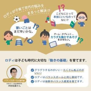 【ロディ公式】 正規輸入代理店 『専門家推薦』...の詳細画像2