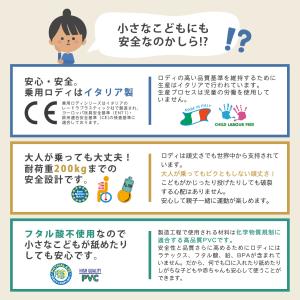 【ロディ公式】 正規輸入代理店 『専門家推薦』...の詳細画像3