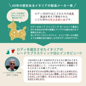 【ロディ公式】 正規輸入代理店 『専門家推薦』...の詳細画像4