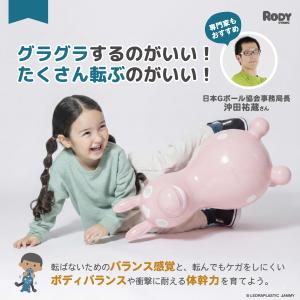 【公式】 『専門家推薦』体幹・バランス感覚を育...の詳細画像2