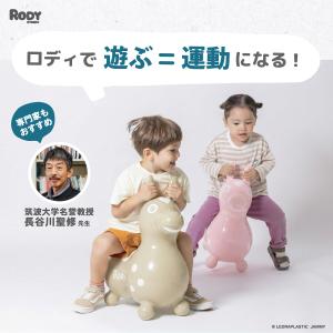 【公式】 『専門家推薦』体幹・バランス感覚を育...の詳細画像3