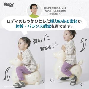 【公式】 『専門家推薦』体幹・バランス感覚を育...の詳細画像4