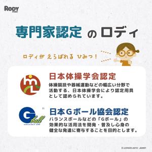 【公式】 『専門家推薦』体幹・バランス感覚を育...の詳細画像5