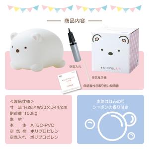 【公認店】【すみっコぐらしエアー 正規品】すみ...の詳細画像1