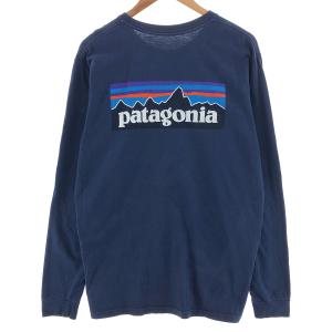 古着 パタゴニア Patagonia バックプ...の詳細画像1