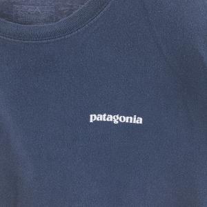 古着 パタゴニア Patagonia バックプ...の詳細画像3