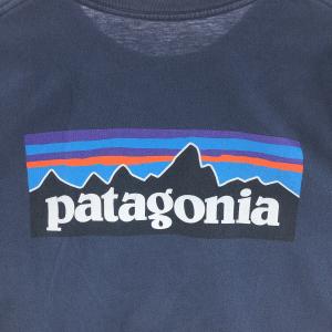 古着 パタゴニア Patagonia バックプ...の詳細画像5