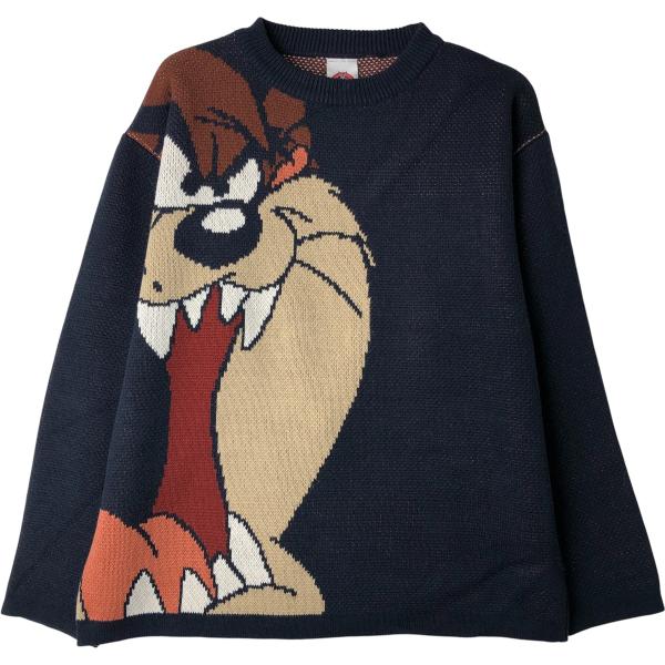 古着 LOONEY TUNES ルーニーテューンズ タズマニアンデビル 総柄 アクリルニットセーター...