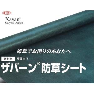 ザバーン デュポン社 防草シート 350G 2...の詳細画像1