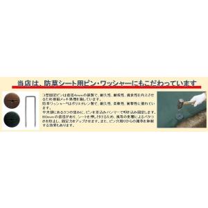 ザバーン デュポン社 防草シート プランテック...の詳細画像4